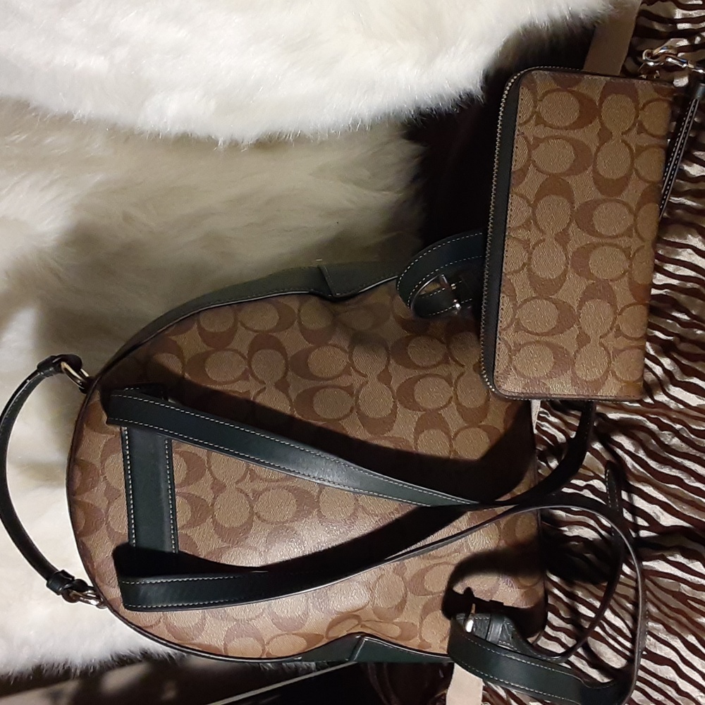Coach - Picture 2 of 4